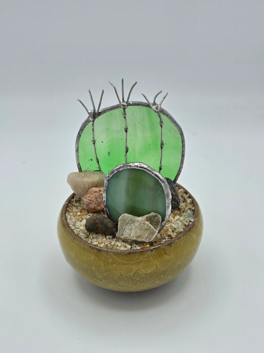 Double Cactus in Yellow Pot