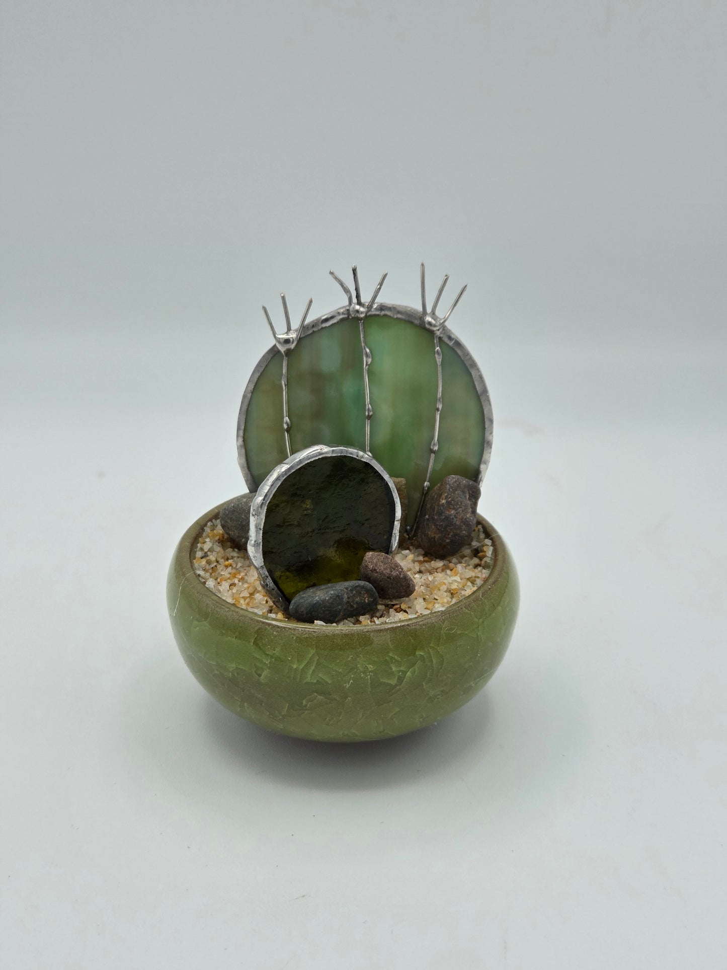 Double Cactus in Green Pot