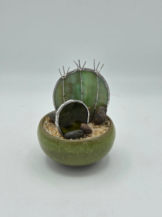 Double Cactus in Green Pot