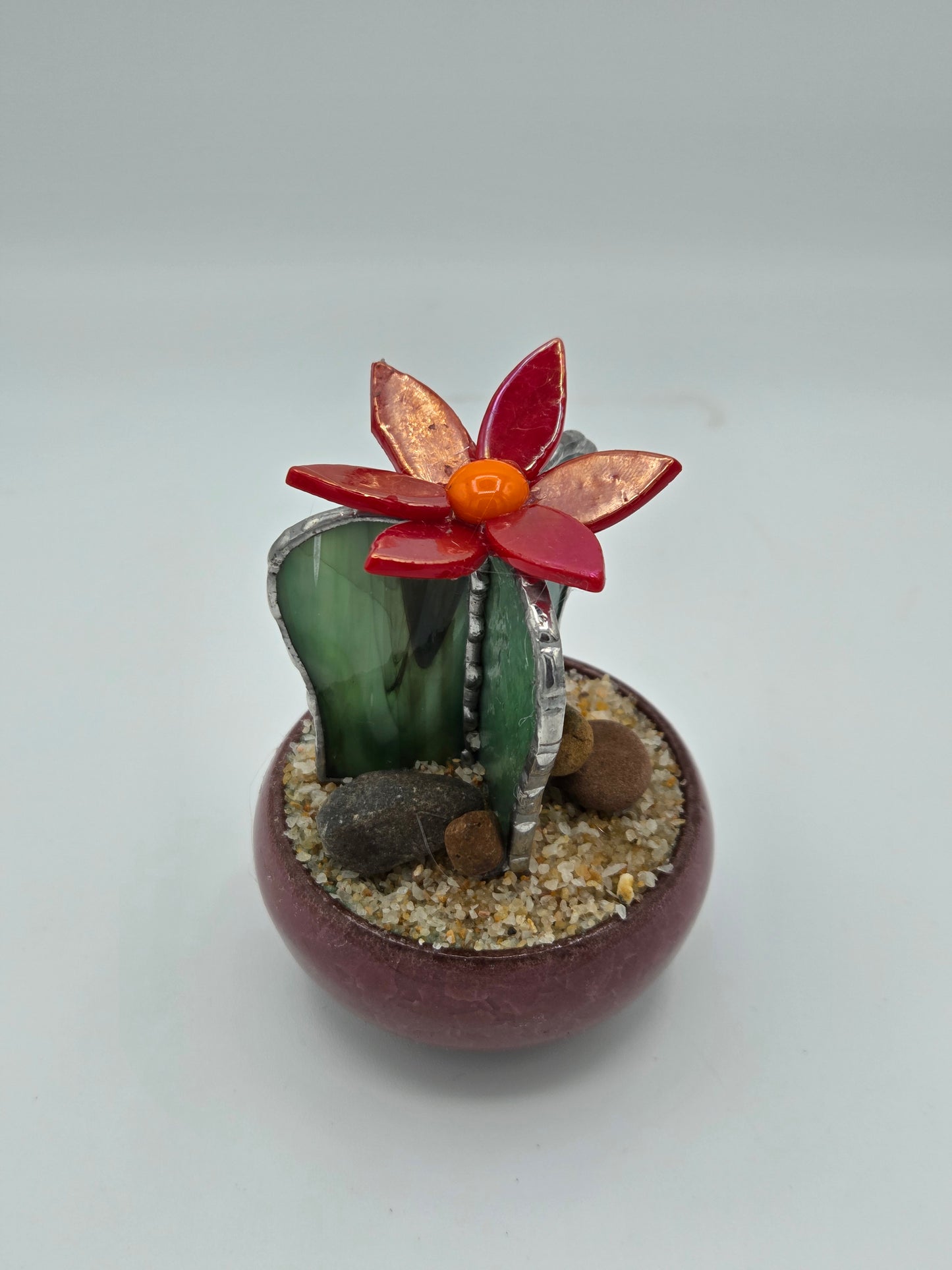 Cactus with Red Flower in Mauve Pot