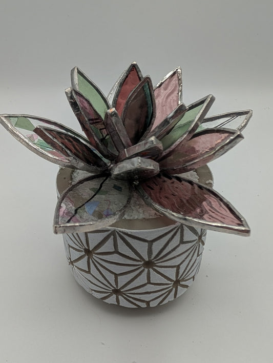 Confetti, Pink, and Green in White Pot