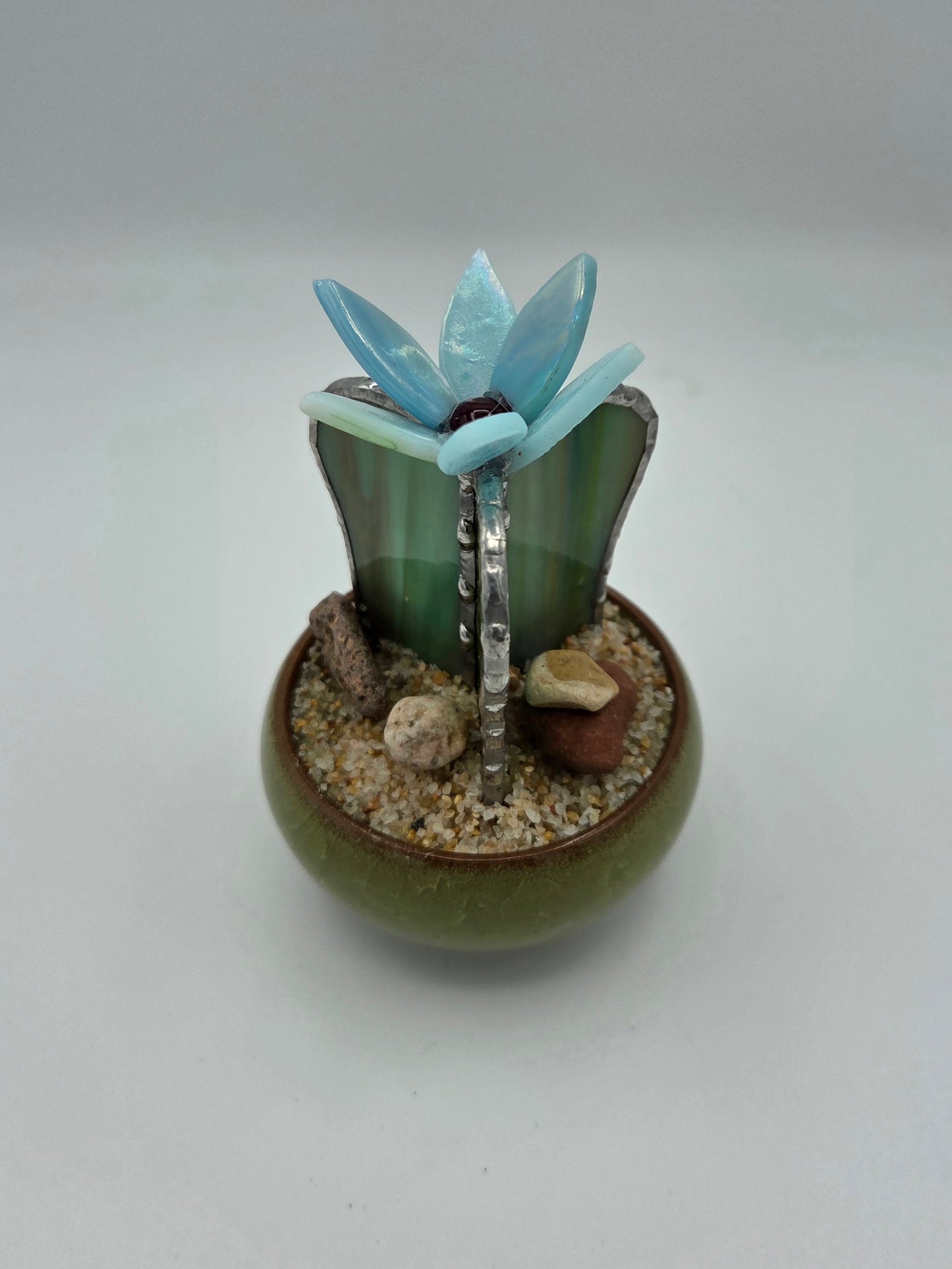 Cactus with Blue Flower in Green Pot