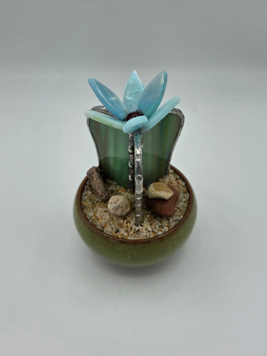Cactus with Blue Flower in Green Pot
