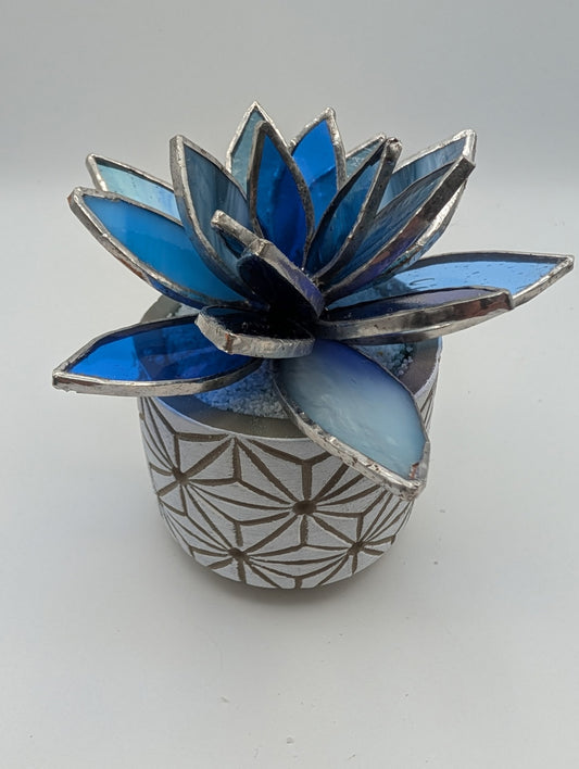 Blue Lotus in White Pot