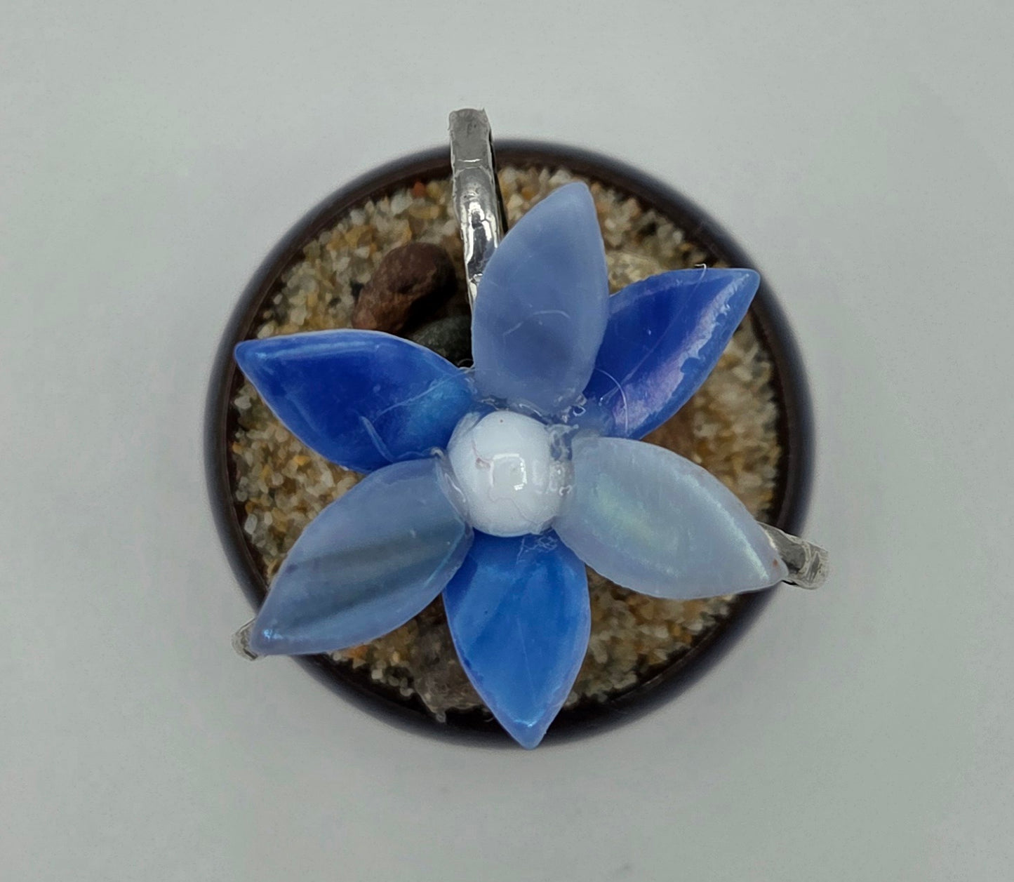 Cactus with Blue Flower in Blue Pot