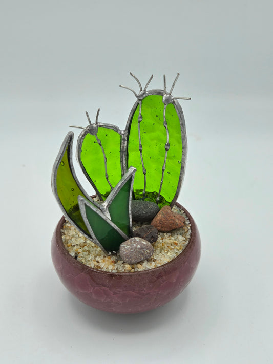 Cactus with Agave Accent in Mauve Pot