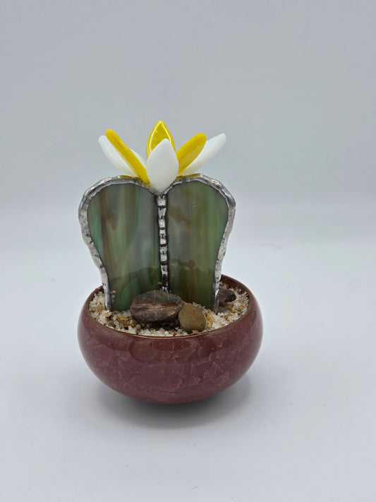 Cactus with Yellow Flower in Mauve Pot