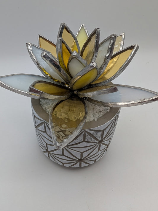 Yellow and White in White Pot