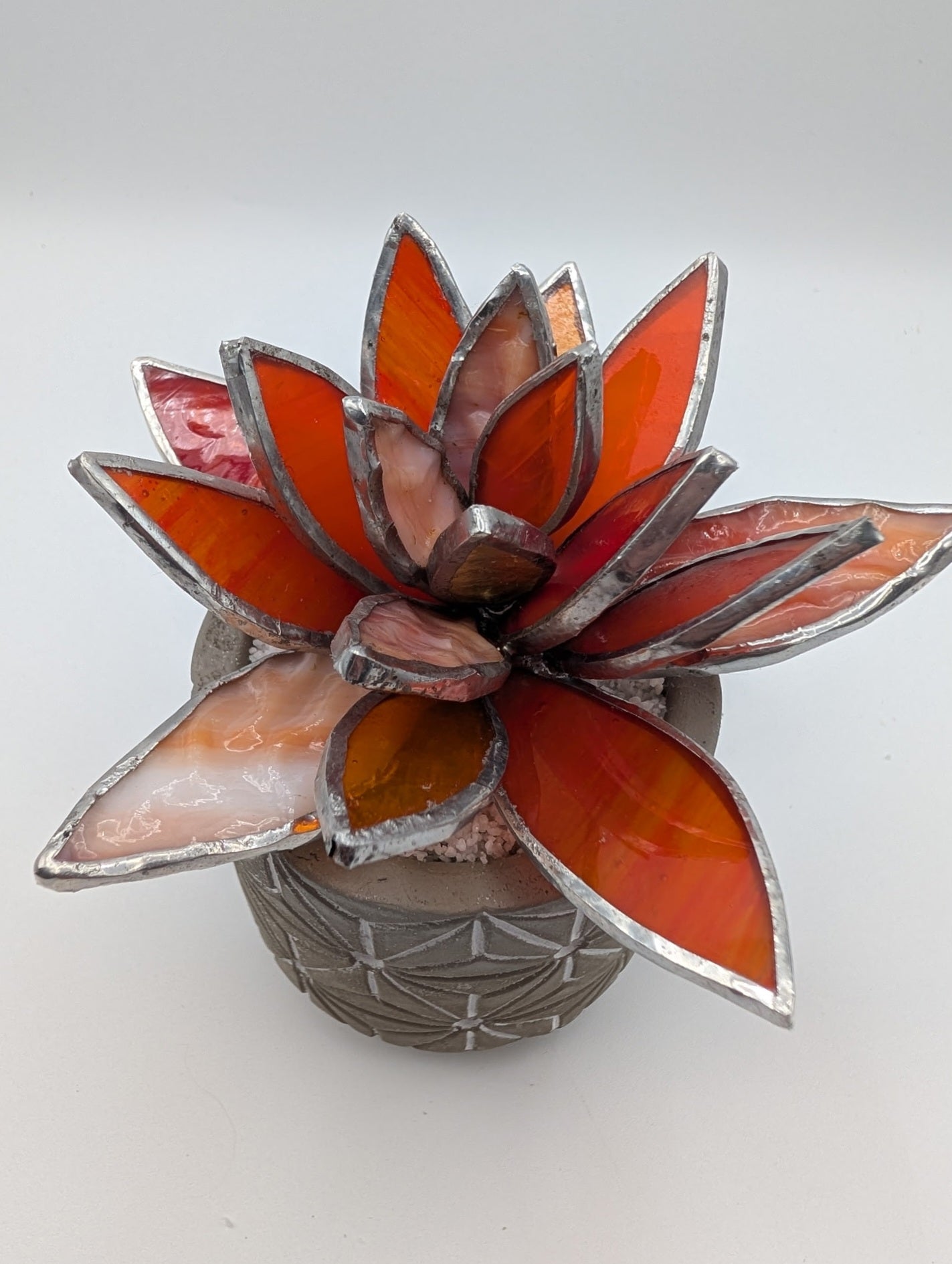 Oranges and Orangey White in Grey Pot