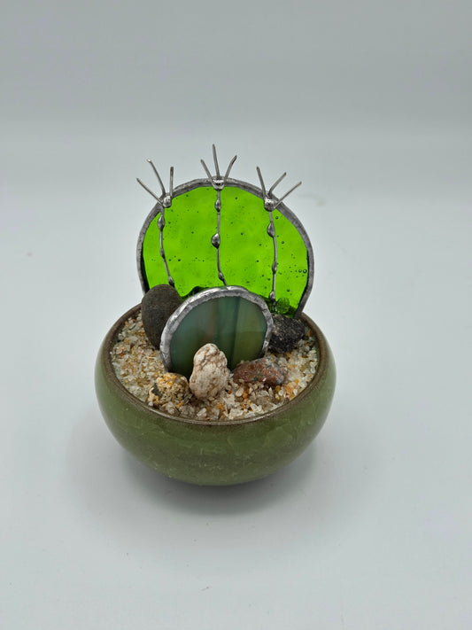 Double Cactus in Green Pot