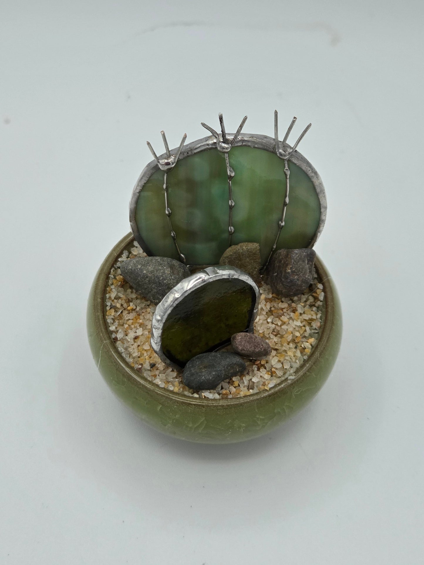 Double Cactus in Green Pot