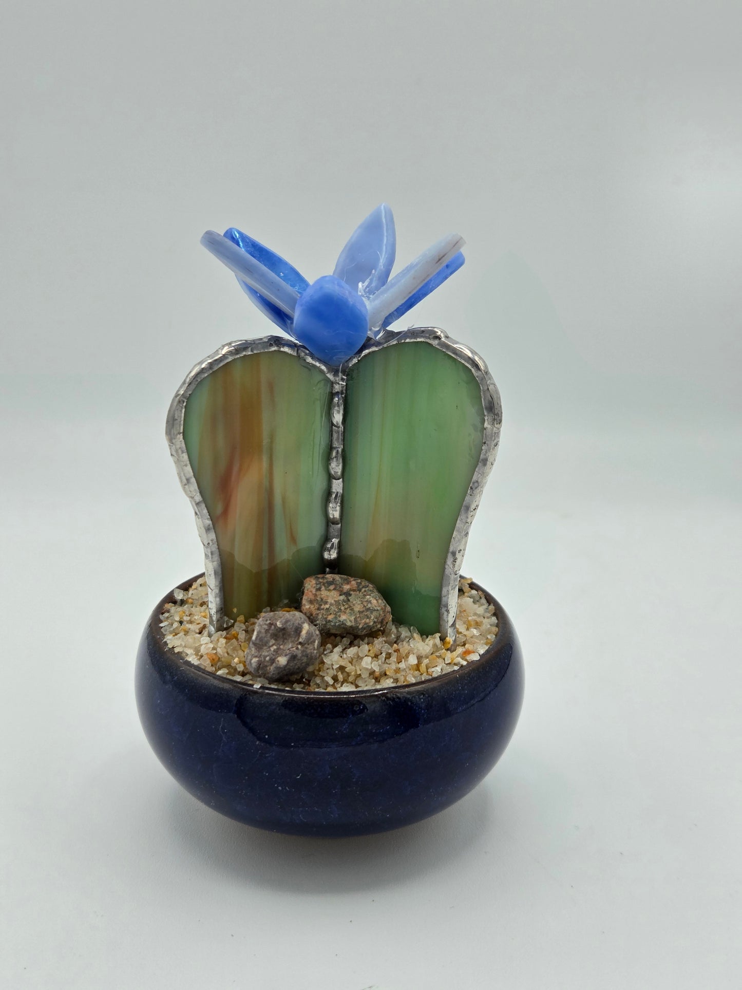 Cactus with Blue Flower in Blue Pot