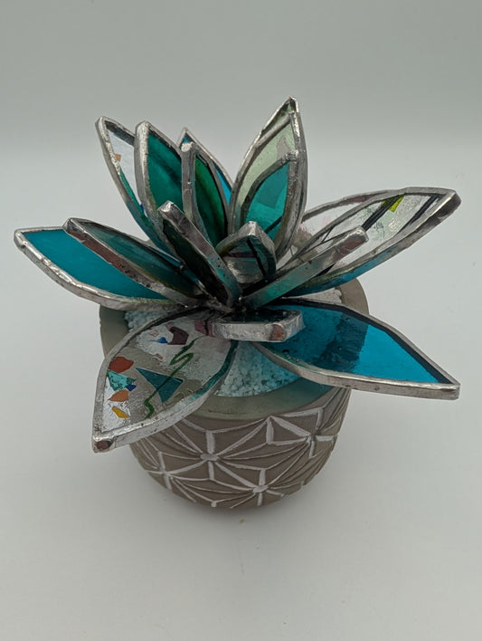 Confetti and Teal in Grey Pot