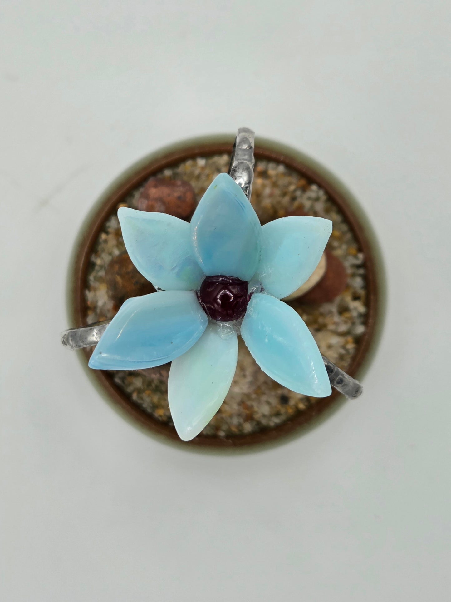 Cactus with Blue Flower in Green Pot