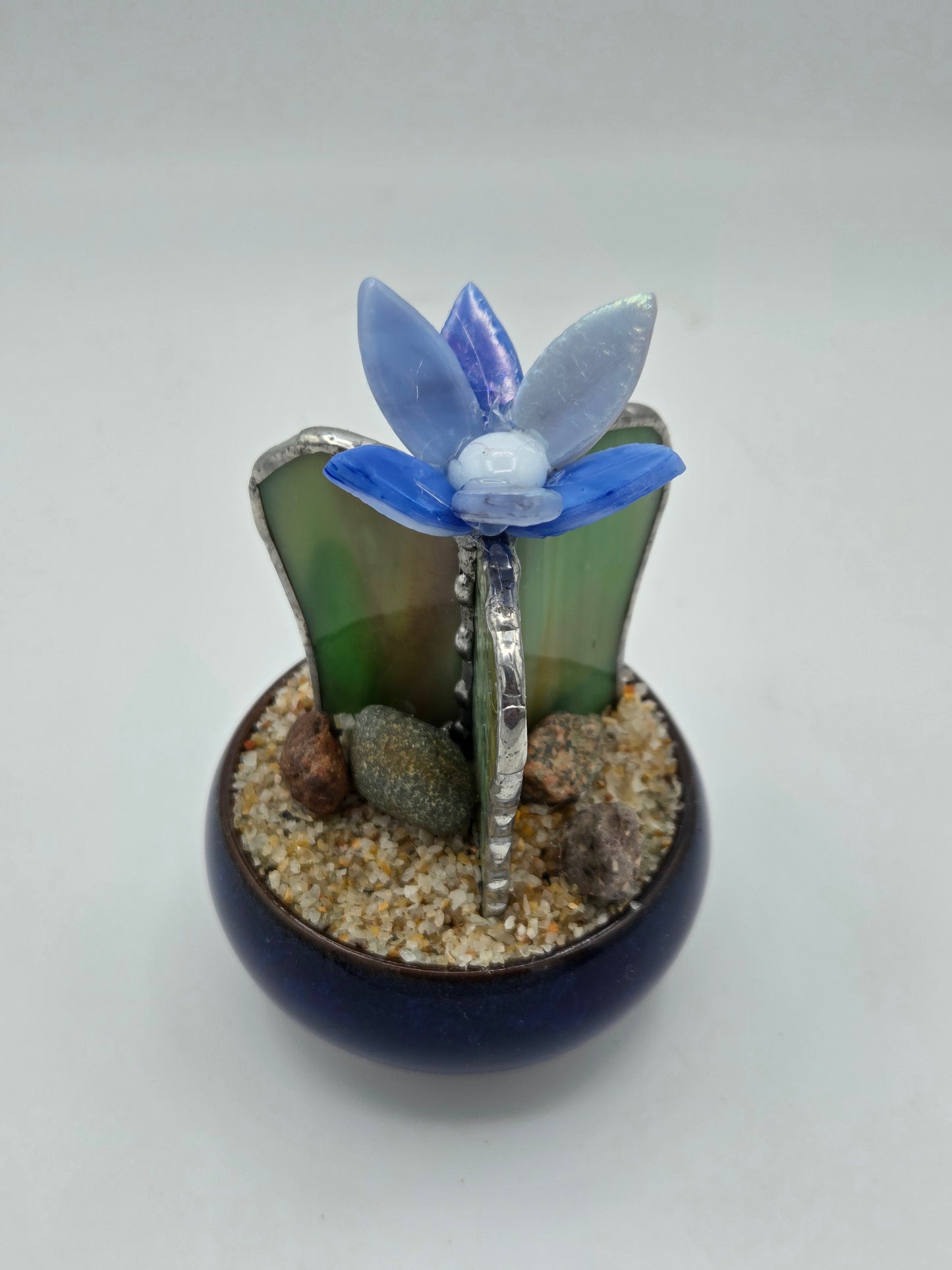 Cactus with Blue Flower in Blue Pot